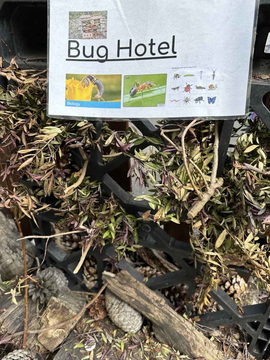A pile of moss and sticks on the ground with a sign reading 'Bug Hotel'