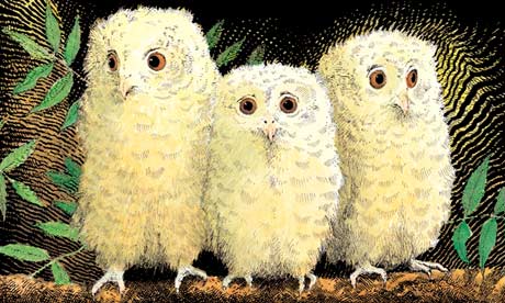 An illustration from a storybook showing three Owls sitting together on a branch, looking out from the darkness of the trees.