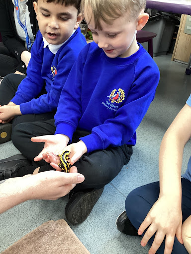 A young boy from Reception Class can be seen smiling, whilst holding out his hands to hold a small Lizard. The Lizard was brought into the academy by the company Exotic Explorers during a visit.