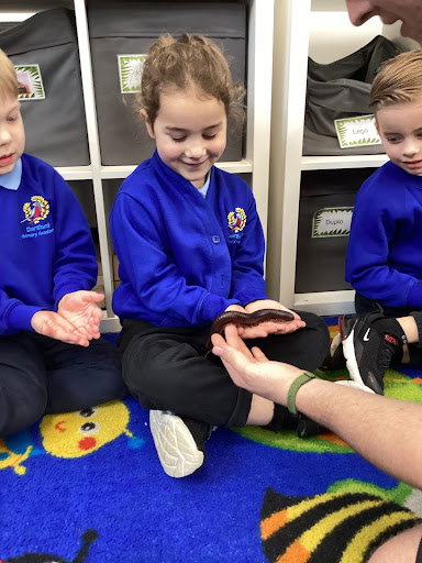 A young girl from Reception Class can be seen smiling, whilst holding an African Millipede in her hand during a visit to the academy by the company Exotic Explorers.