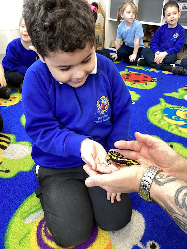 A young boy from Reception is pictured holding out his hand to hold a Lizard, which has been brought in to the academy by the company Exotic Explorers during a visit.