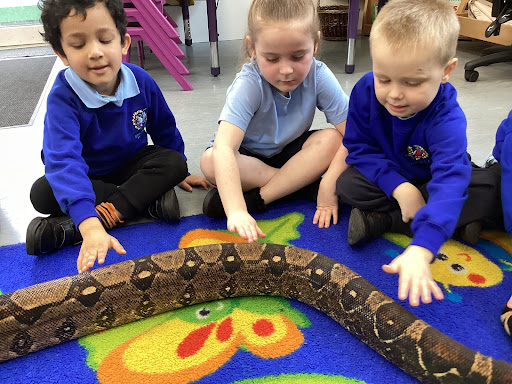 Three young Reception pupils are pictured touching the scales on a Snake, which has been brought in by the company Exotic Explorers during a visit to the academy.