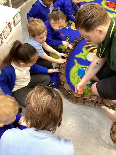 A member of staff from the company Exotic Explorers is pictured supervising some pupils, whilst they touch the scales of a Snake he has brought in to show them.