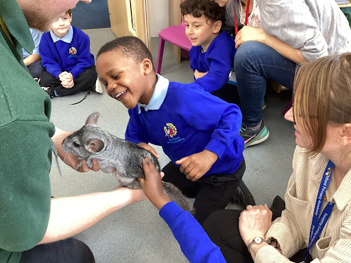 A male student is pictured smiling, whilst petting a Chinchilla which has been brought in by the company Exotic Explorers during a visit to the academy.