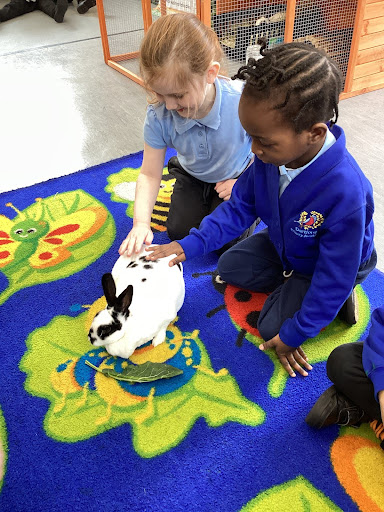 Two female pupils are pictured sat down on a carpet in their classroom, petting a Rabbit that has been brought in by the company Exotic Explorers during a visit to the academy.