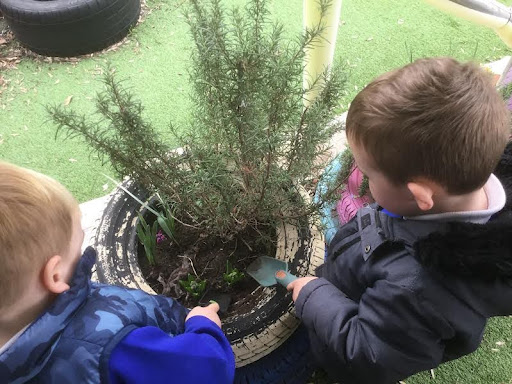 Two young boys from Nursery are pictured using hand trowels to plant a shrub in a pot of soil.
