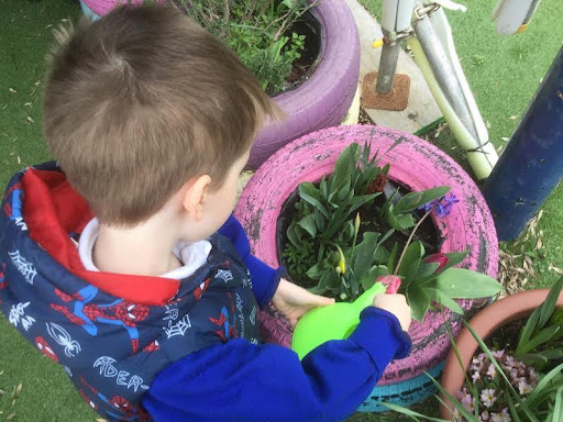 A young boy from Nursery is seen using a small watering can to water a plant in a pot in an outdoor space on the academy grounds.