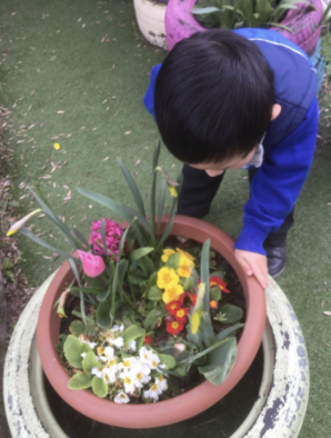 Child smelling the flowers