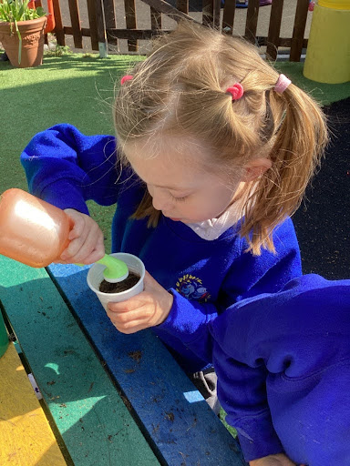 A young girl from Nursery can be seen watering some soil in a paper cup, using a watering can.
